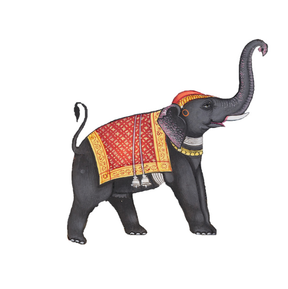 Elephant logo Leonard